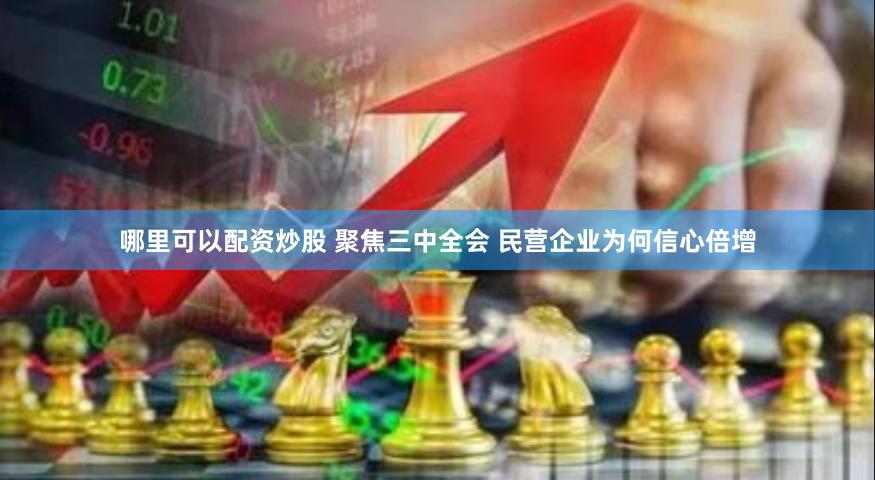 哪里可以配资炒股 聚焦三中全会 民营企业为何信心倍增