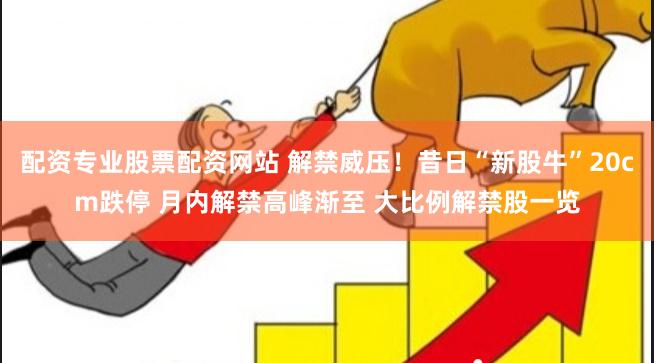 配资专业股票配资网站 解禁威压！昔日“新股牛”20cm跌停 月内解禁高峰渐至 大比例解禁股一览